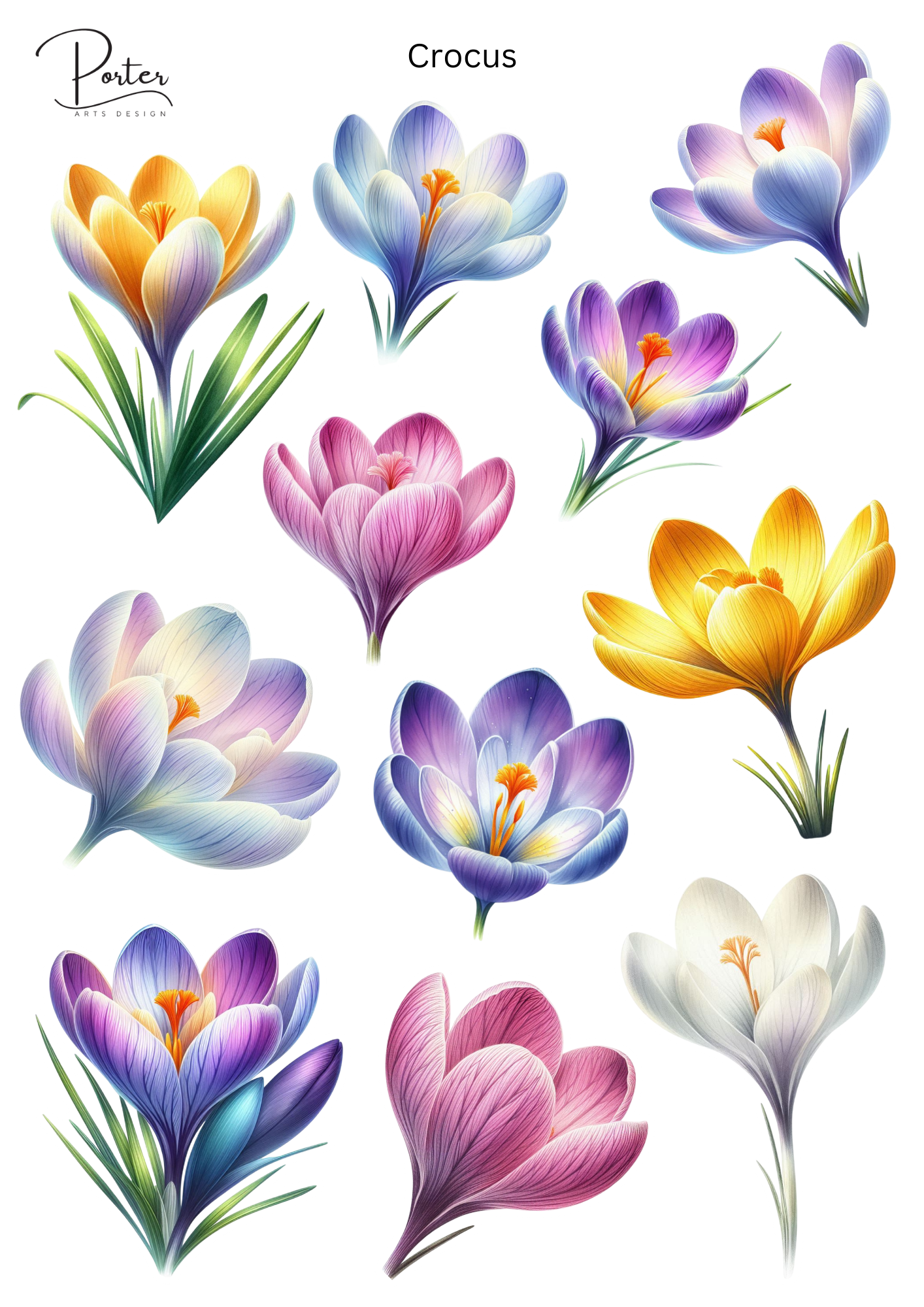 *PRINTABLE* Crocus Sticker