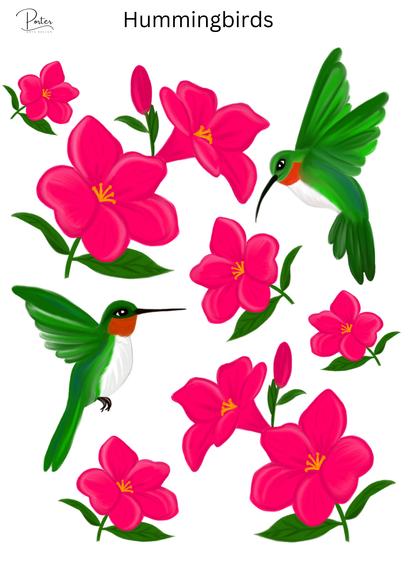 *TANGIBLE* Hummingbirds Sticker