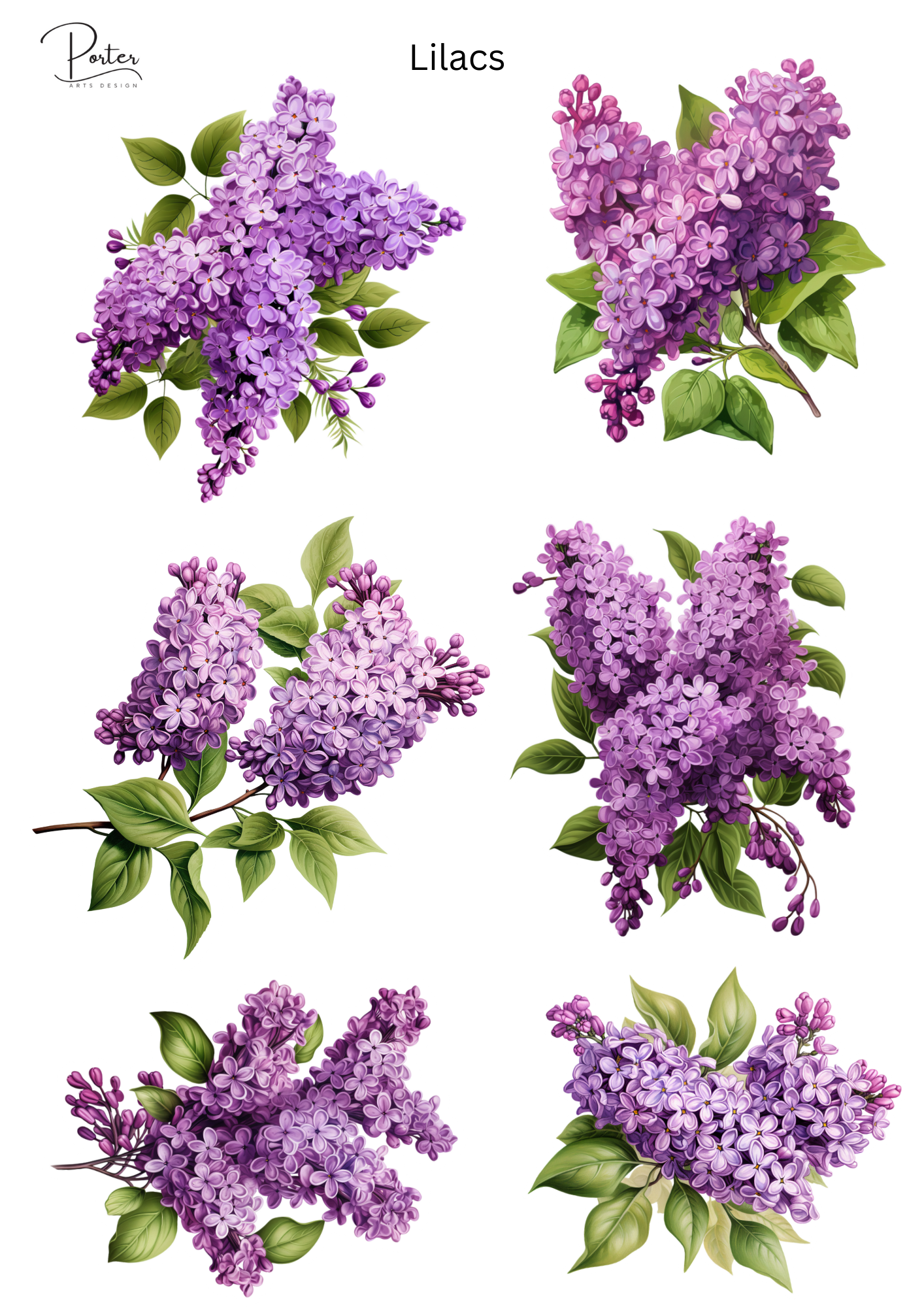 *PRINTABLE* Lilacs Sticker