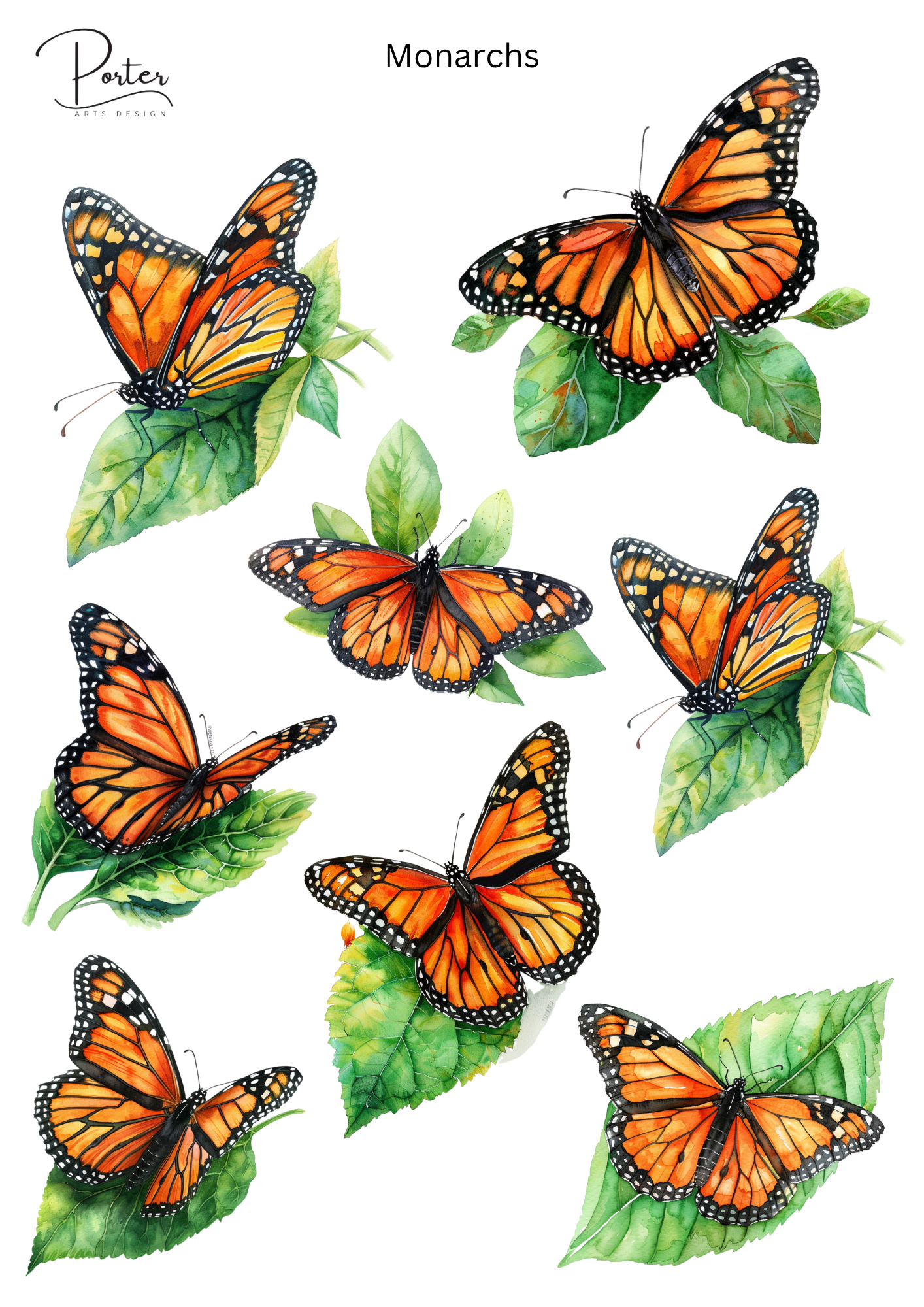 *TANGIBLE* Monarchs Sticker