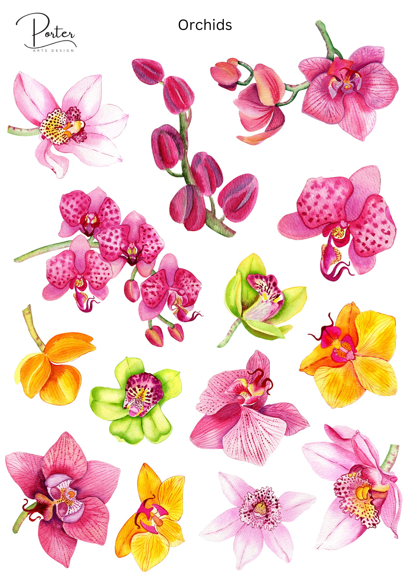 *TANGIBLE* Orchids Sticker