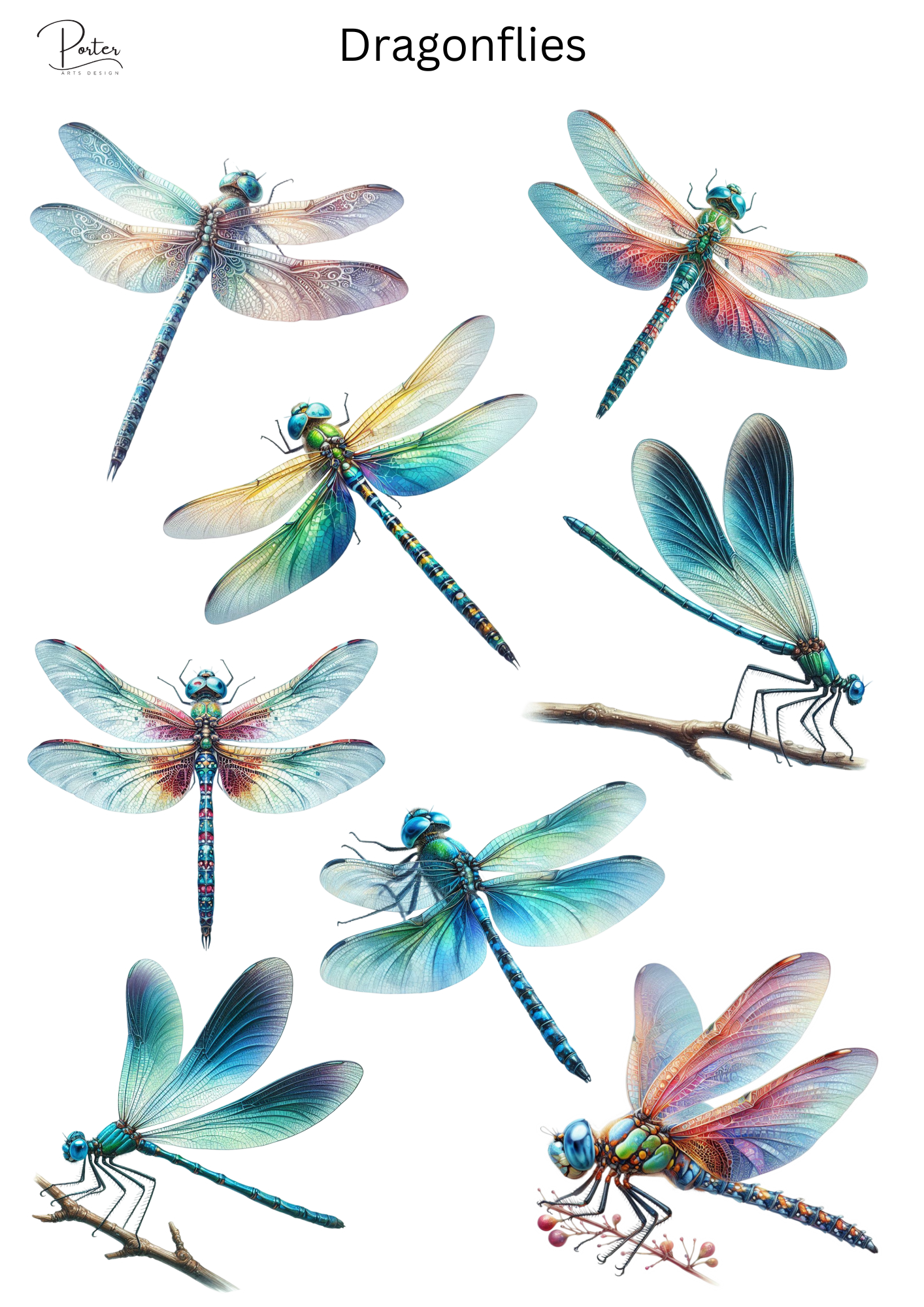*TANGIBLE* Dragonflies Sticker