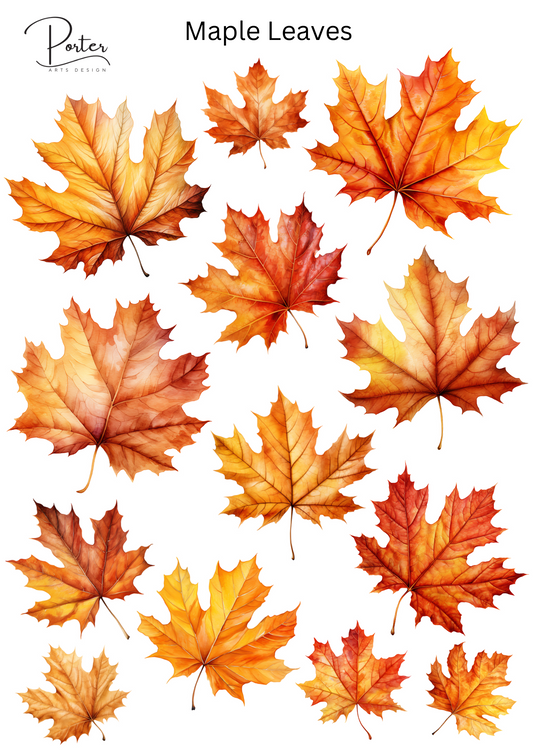 *TANGIBLE* Maple Leaves Sticker