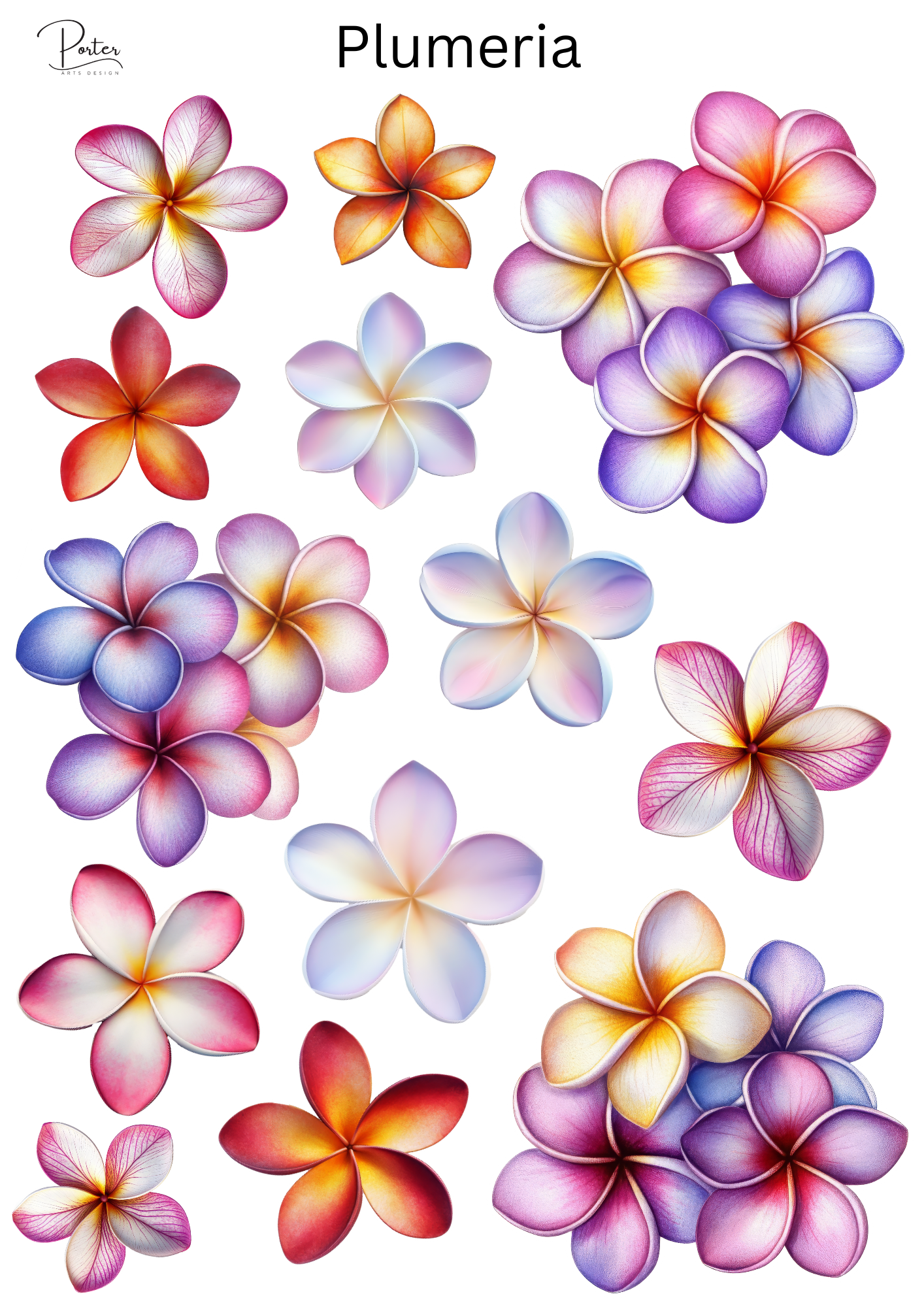 *PRINTABLE* Plumeria Sticker