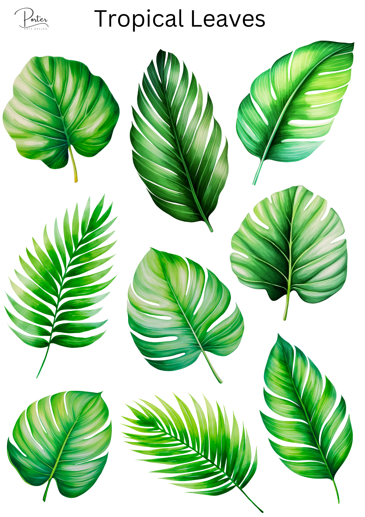 *TANGIBLE* Tropical Leaves Sticker