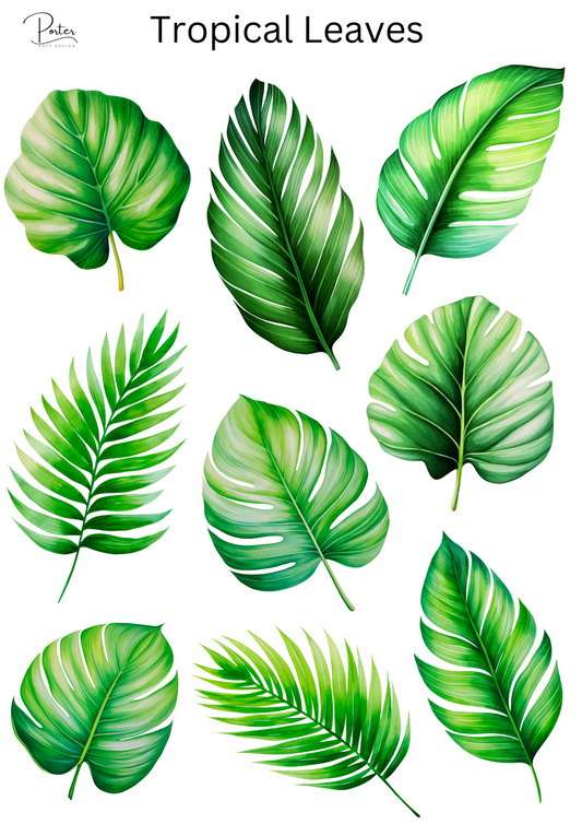 *TANGIBLE* Tropical Leaves Sticker